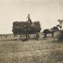 Omc1985.008.073 Image 600dpi